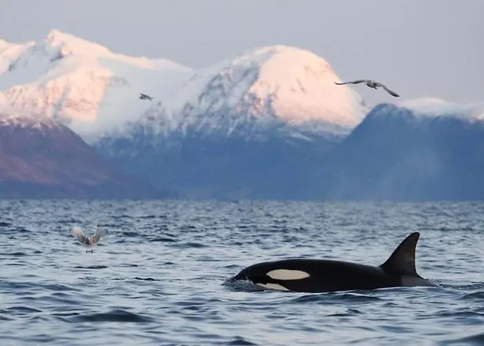 Deluxe Penthouse By Paramount Appartement *